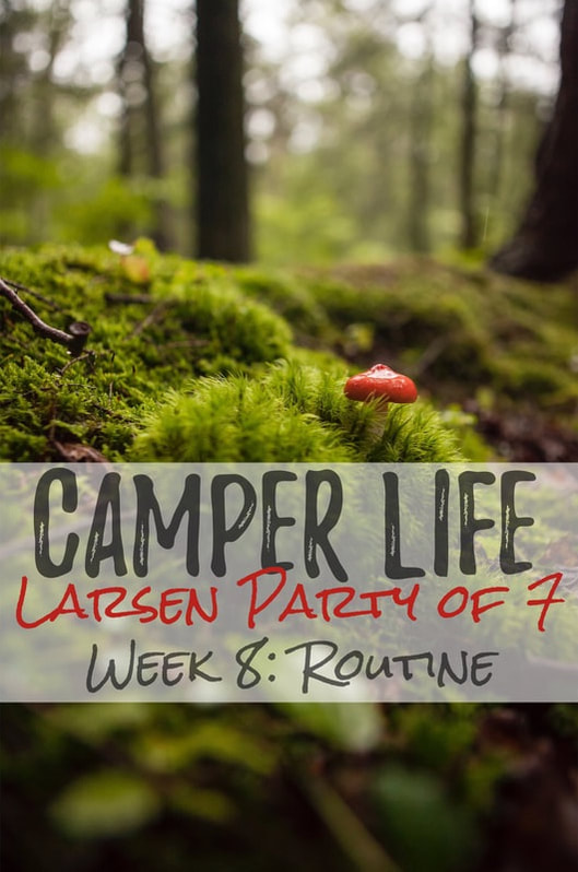 Larsen Party of 7 | Routine
