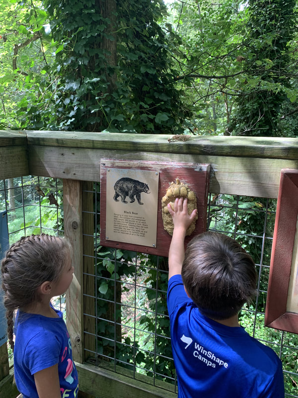 Bear Hollow Zoo Experience in Athens, Ga