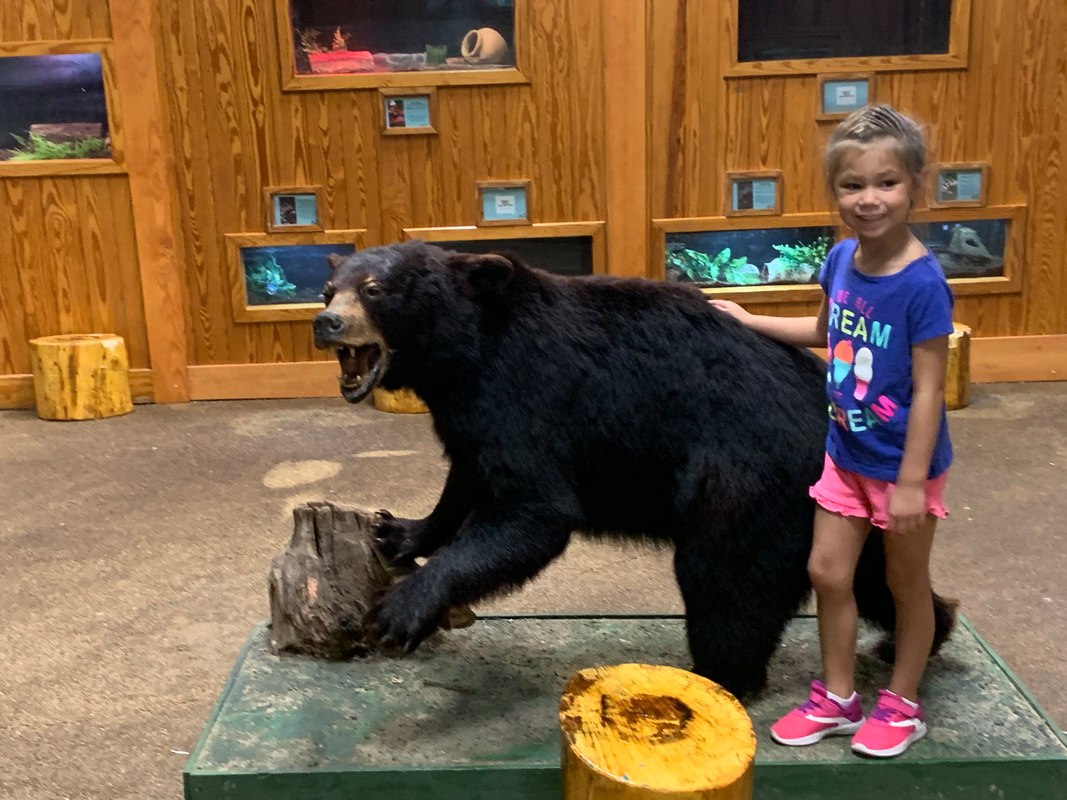 Bear Hollow Zoo Experience in Athens, Ga