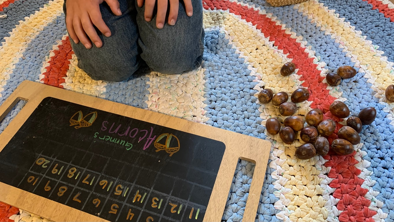  Acorn Math & The Importance of Early Counting Concepts by HomespunMom
